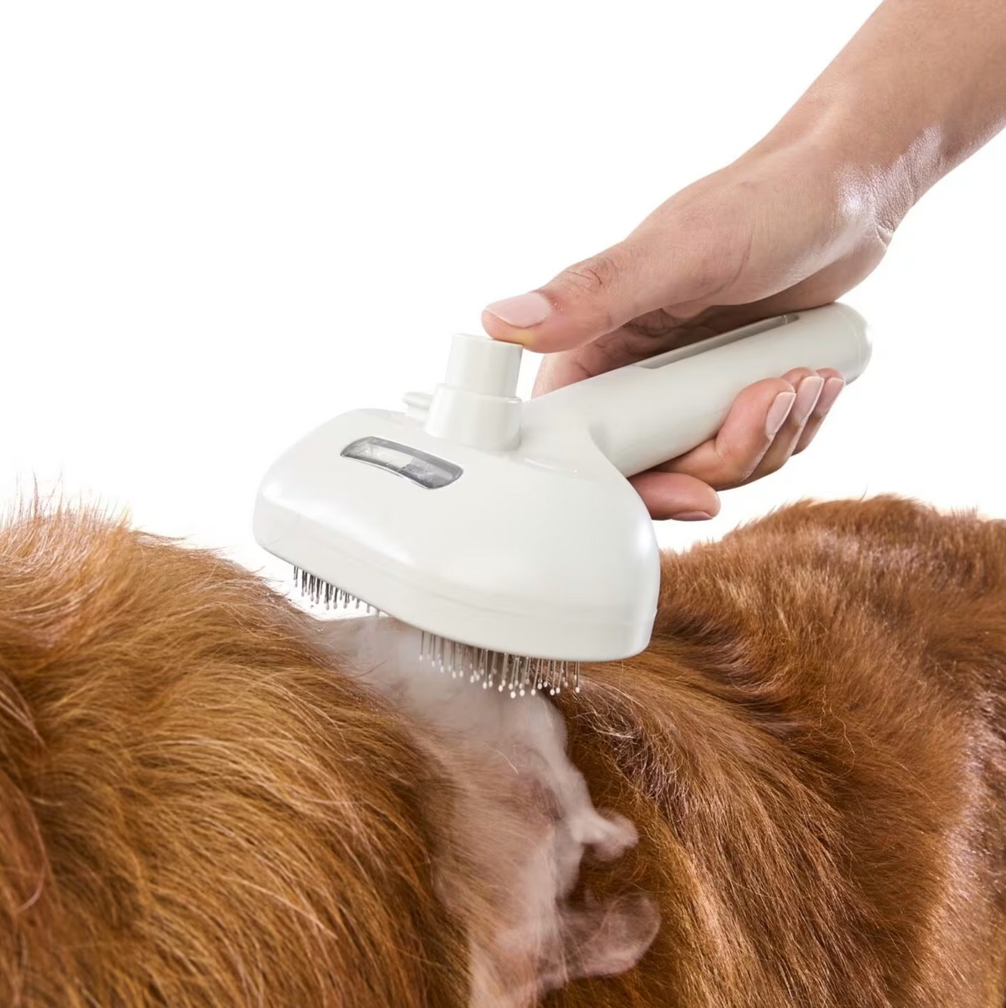 Pet Grooming Steam Brush